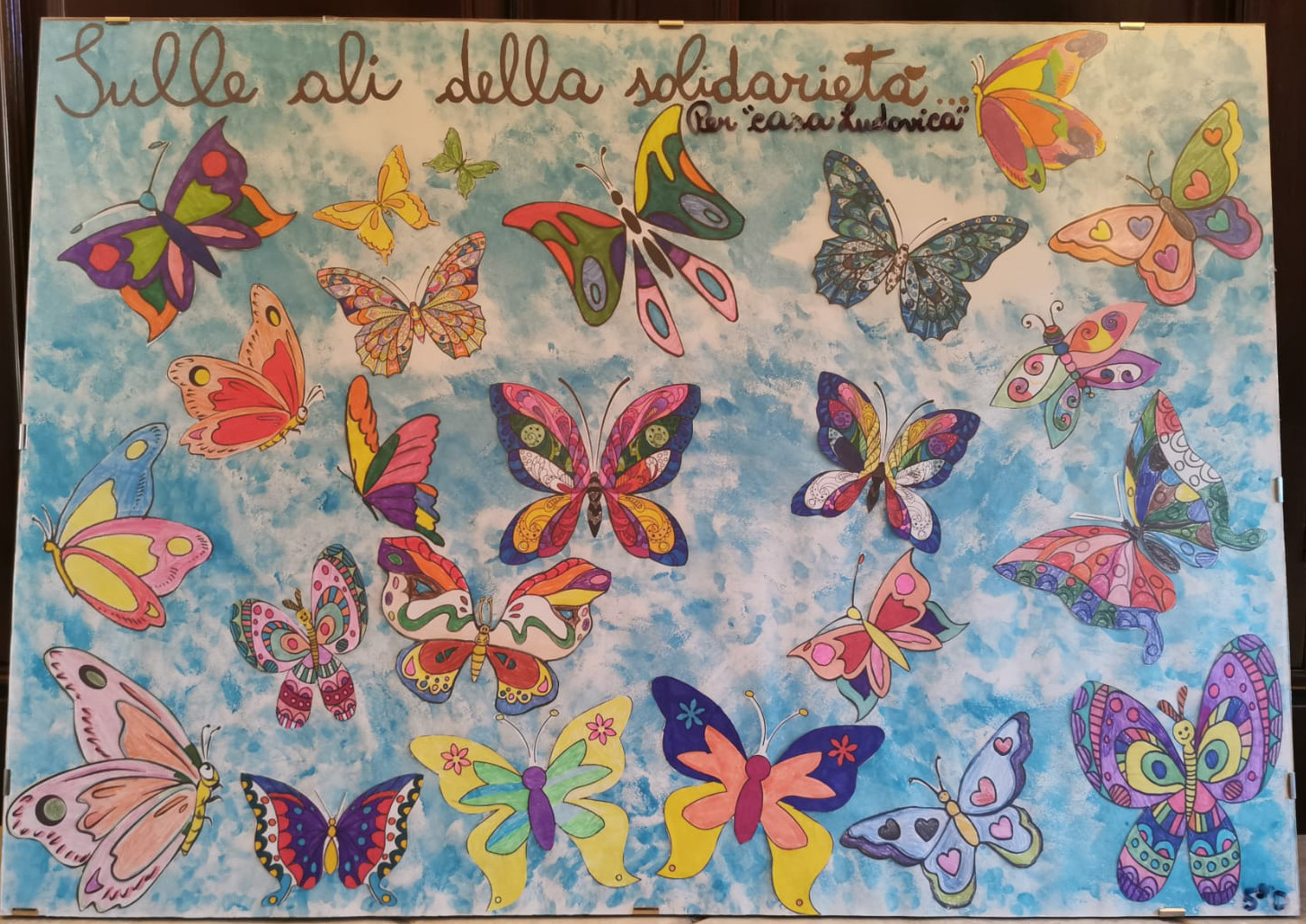solidarieta